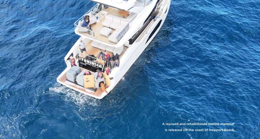 Boat in Newport HArbor